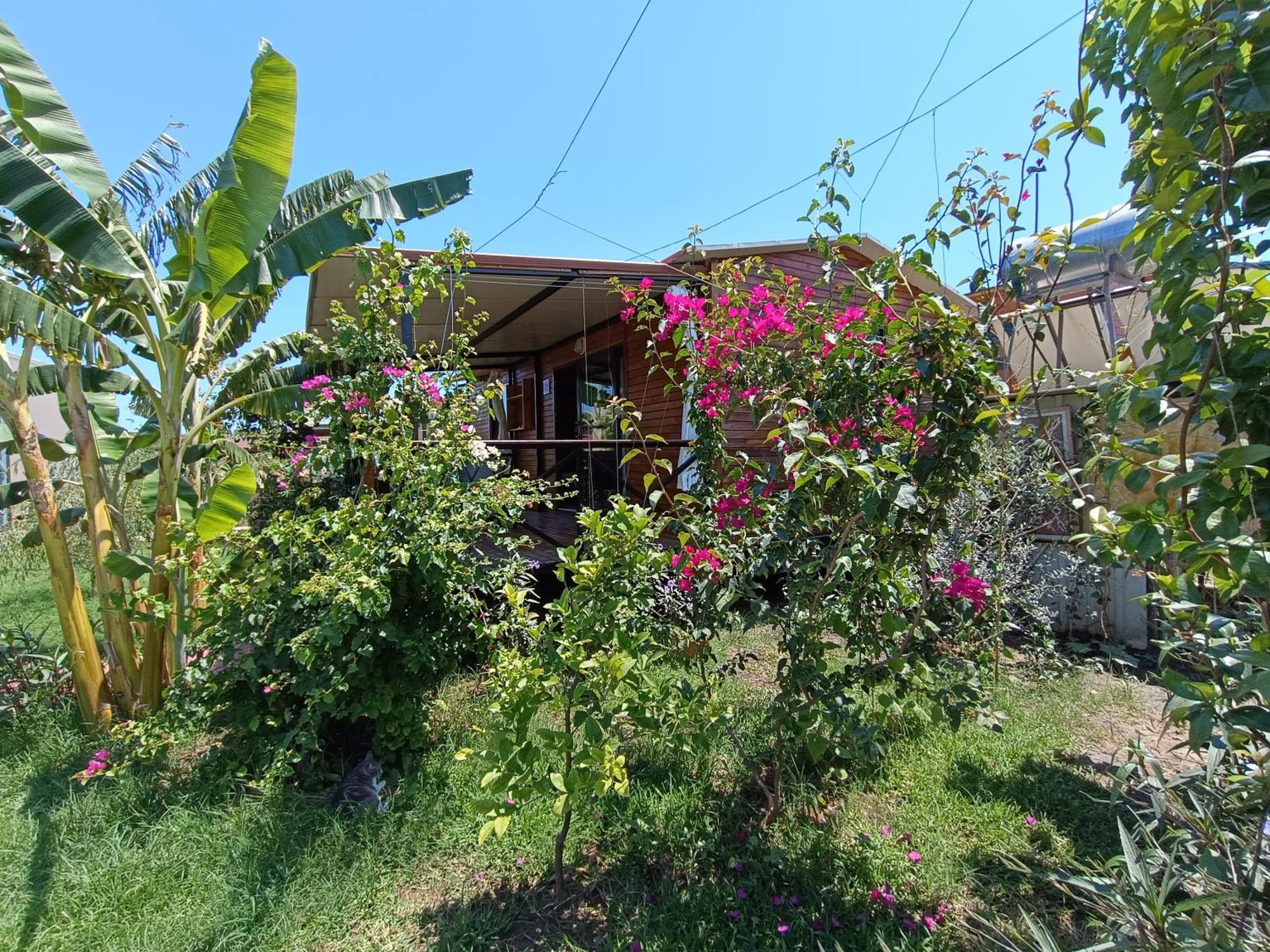 Arlin Bungalows Kemer Exterior photo